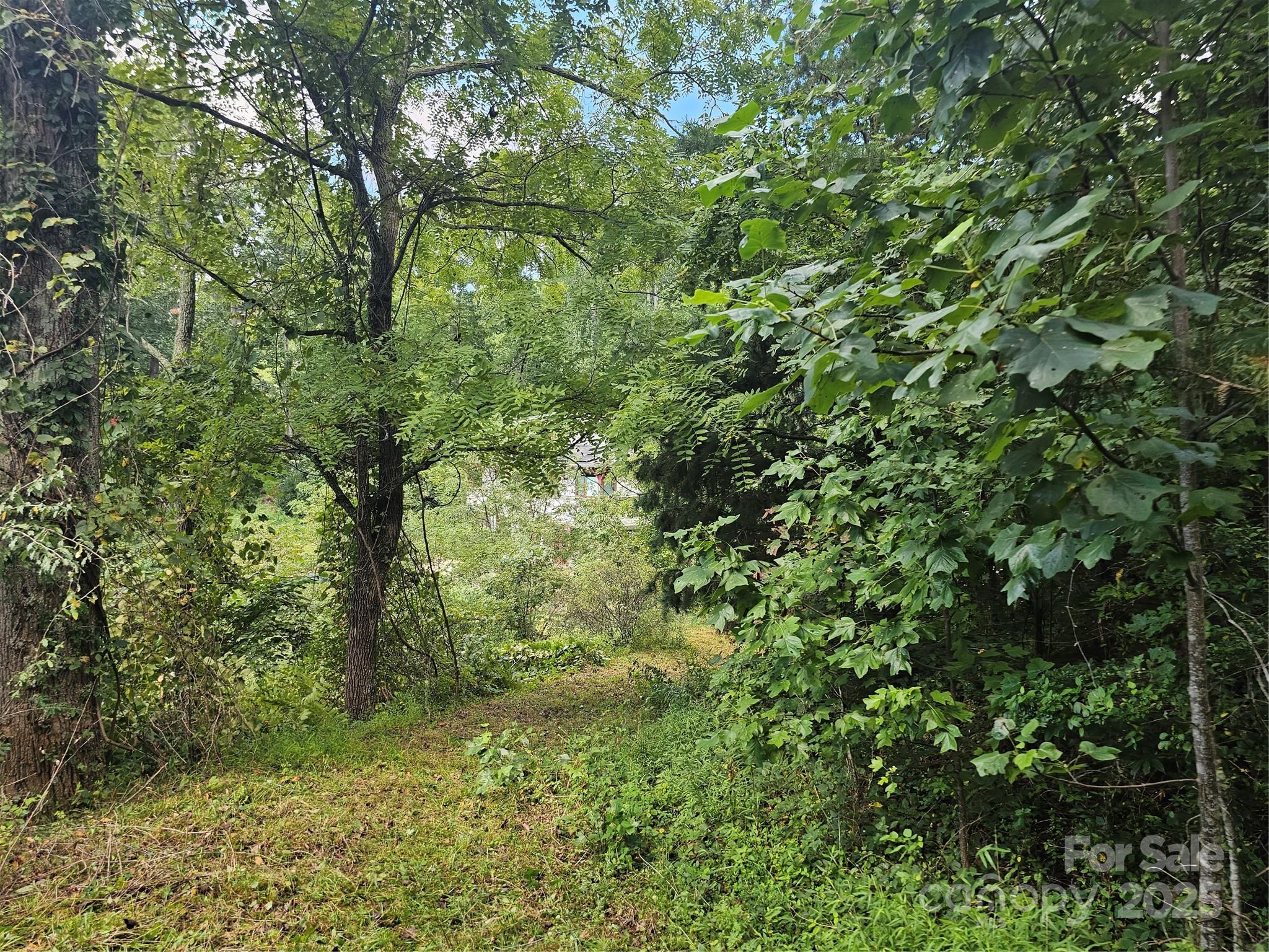 Crest Mountain - Land