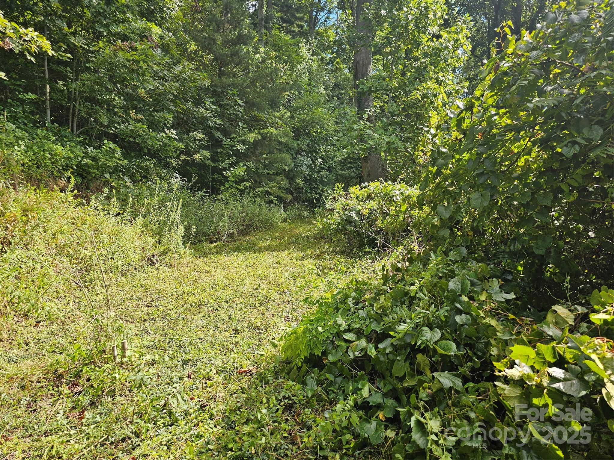 Crest Mountain - Land