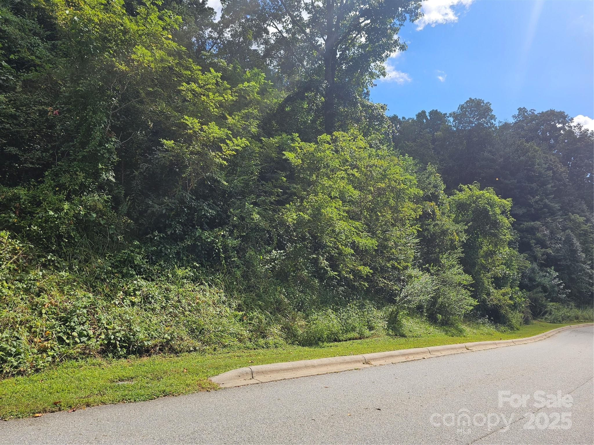 Crest Mountain - Land