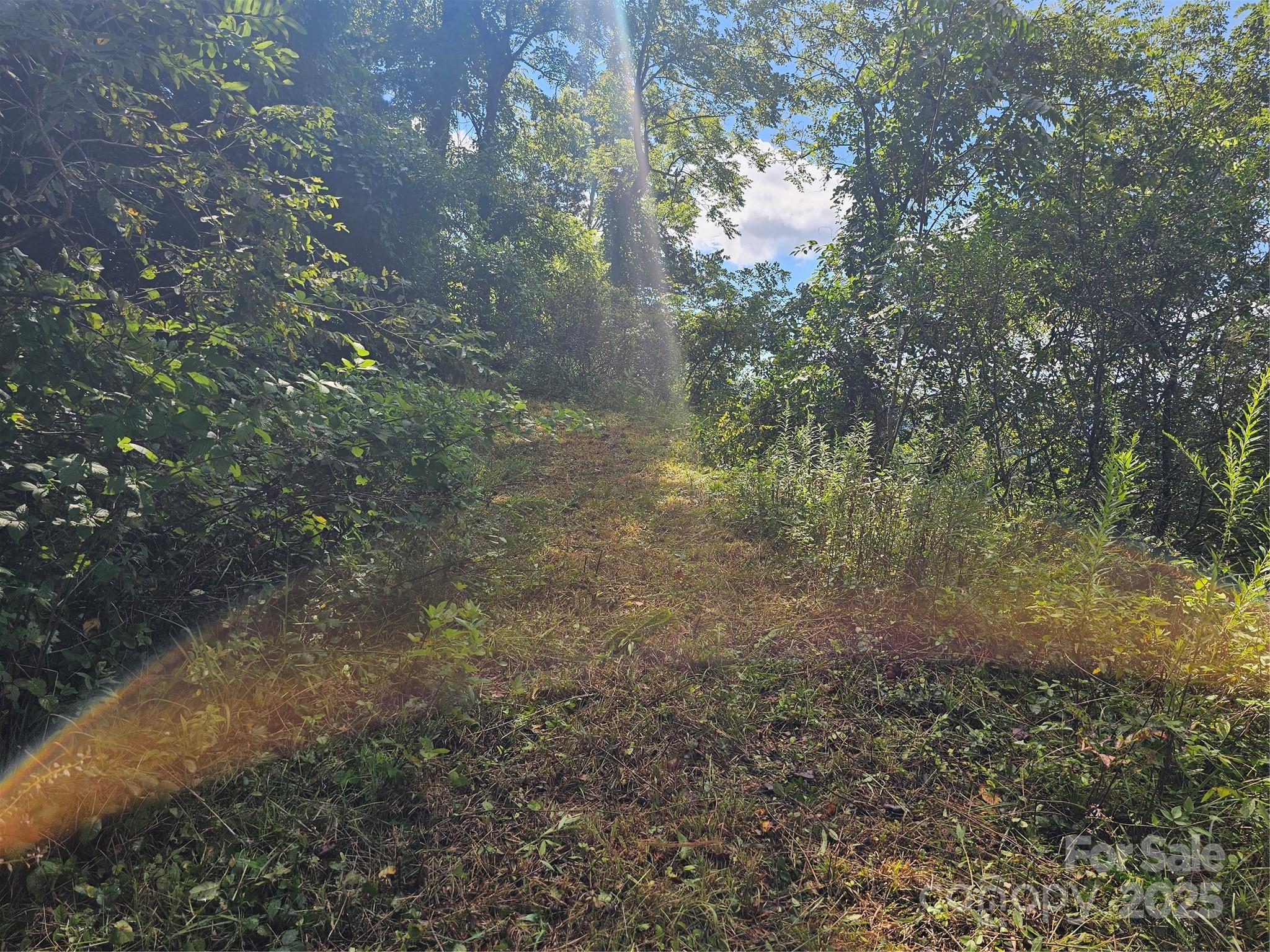 Crest Mountain - Land