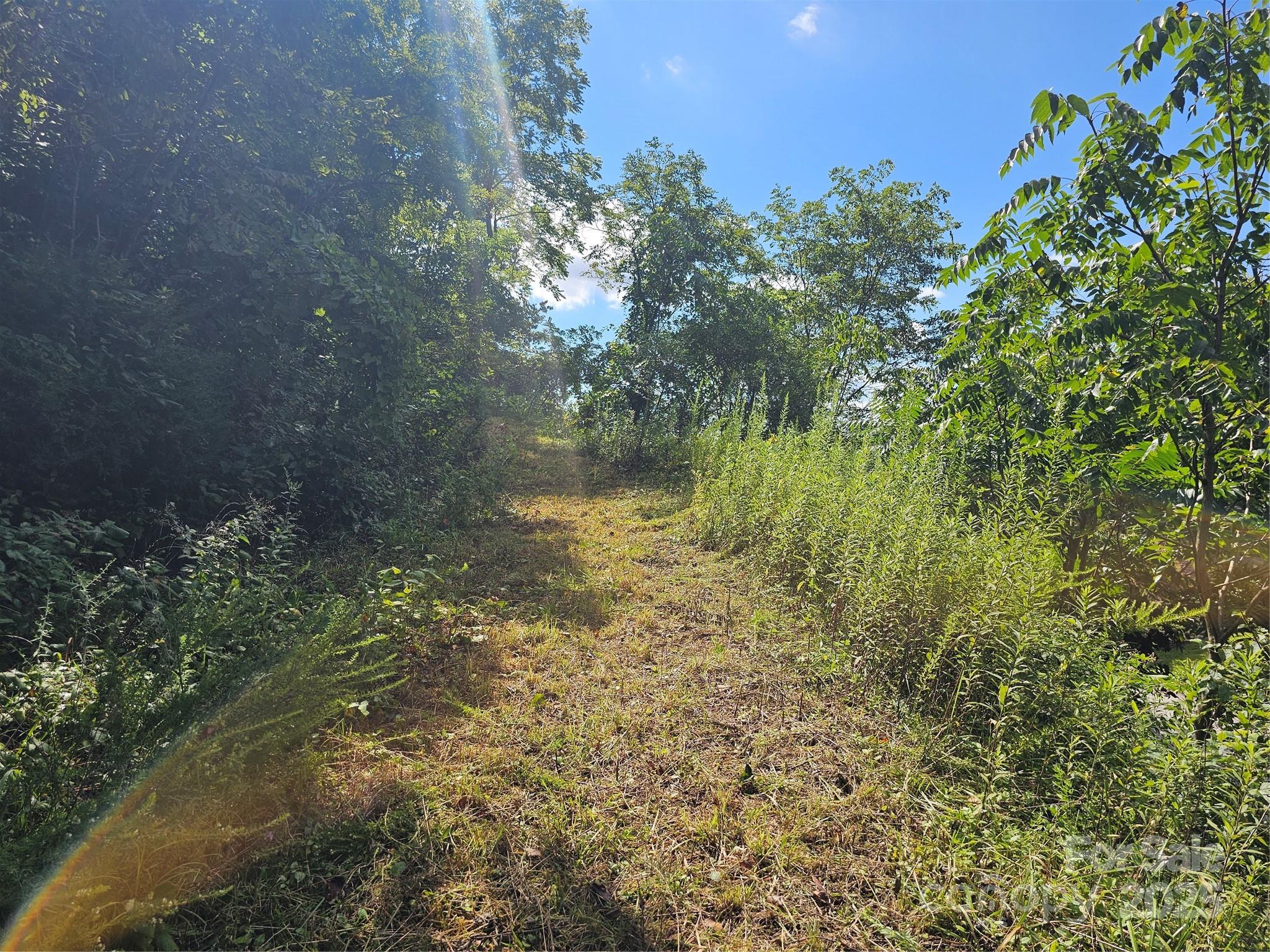 Crest Mountain - Land