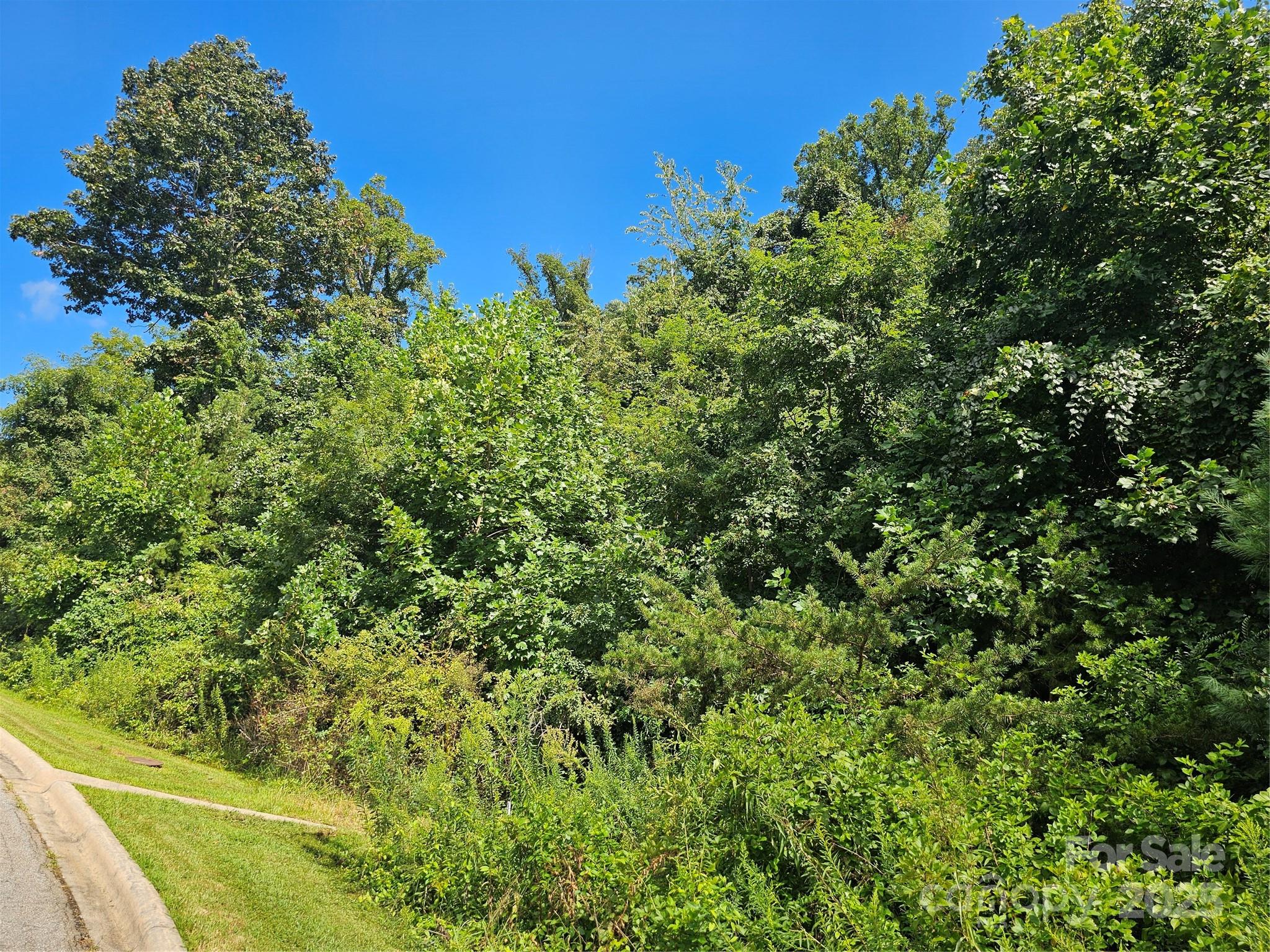 Crest Mountain - Land