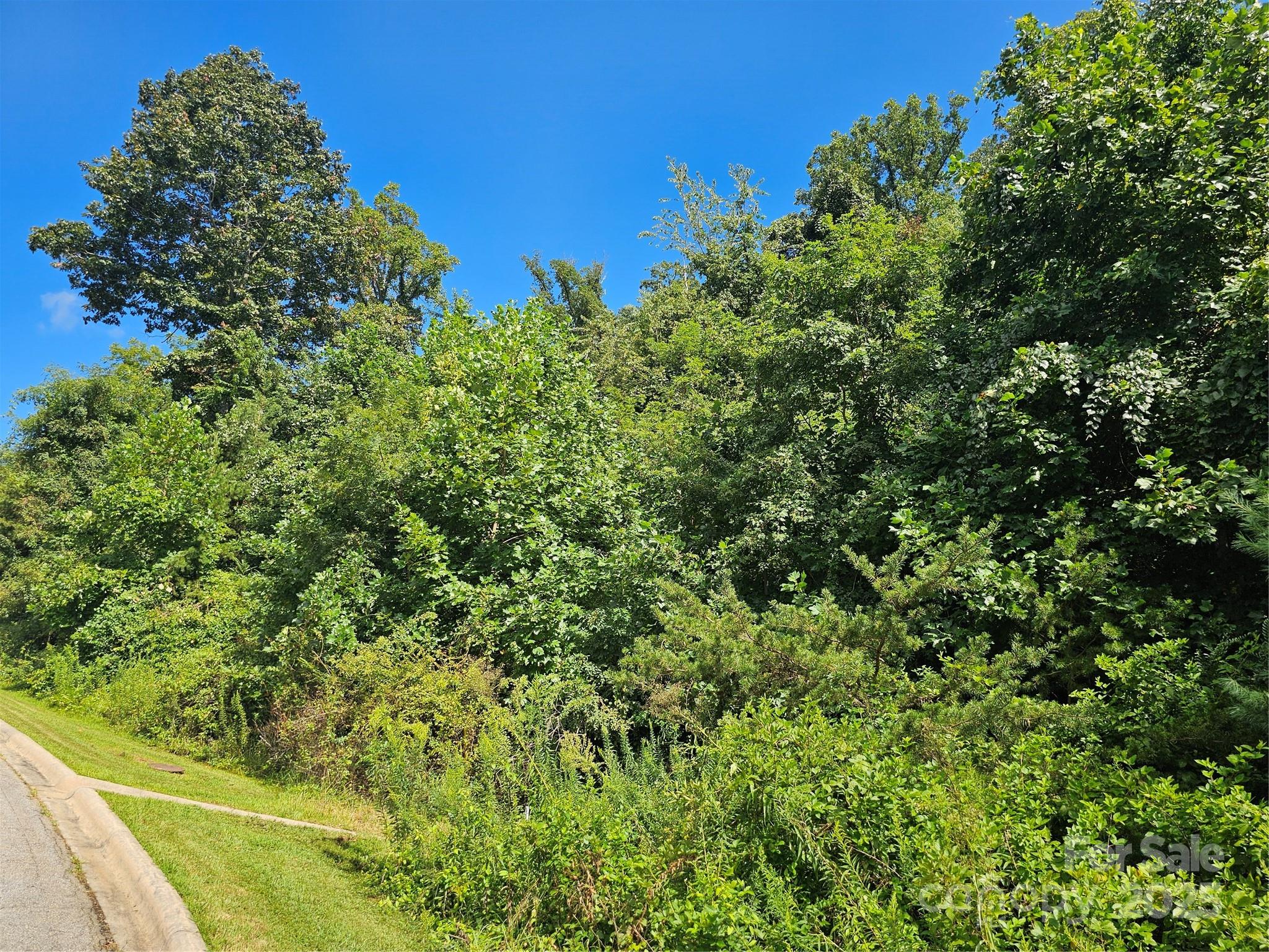 Crest Mountain - Land