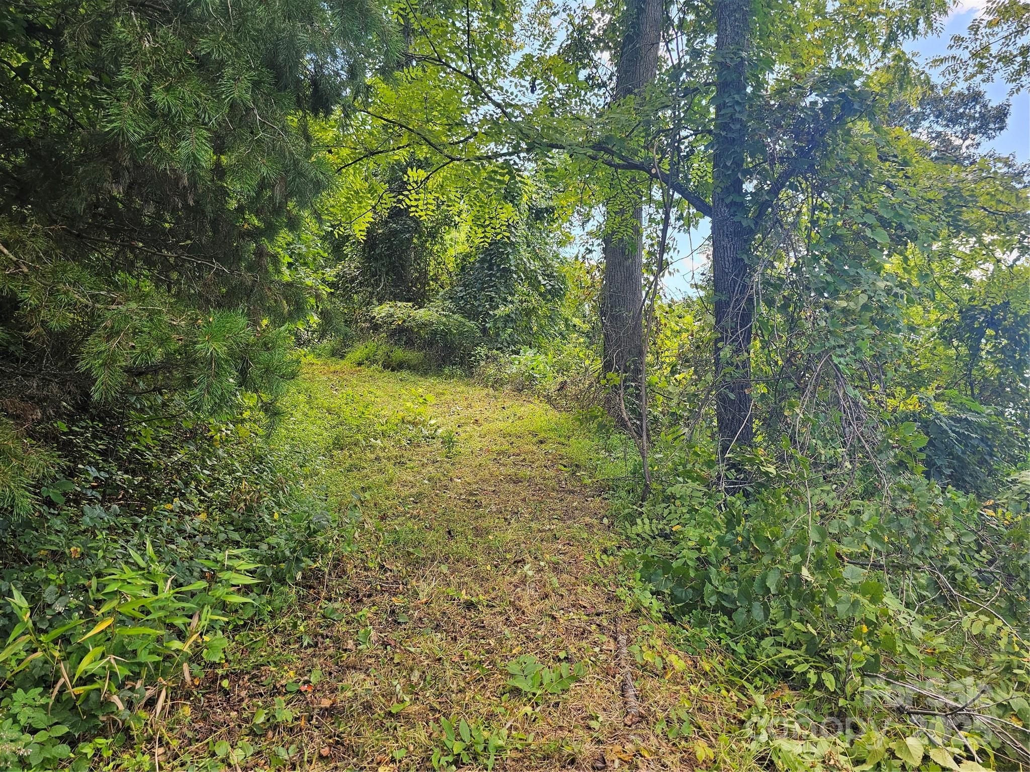 Crest Mountain - Land