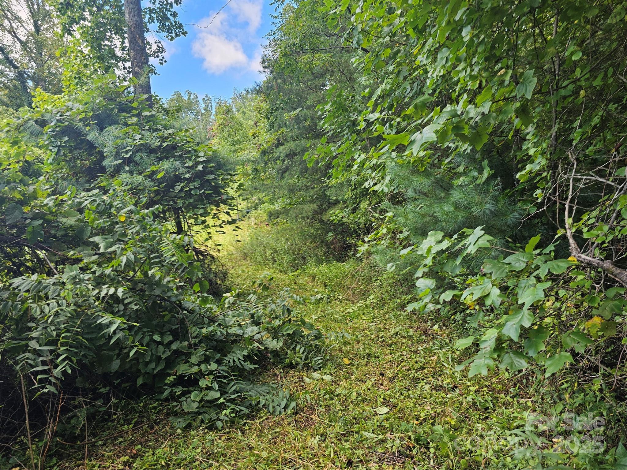 Crest Mountain - Land