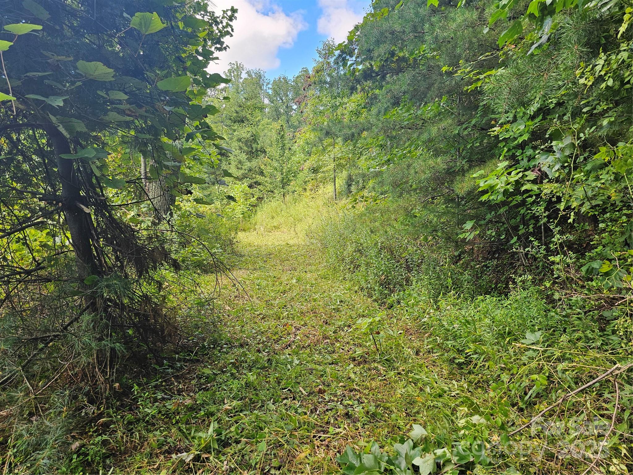 Crest Mountain - Land