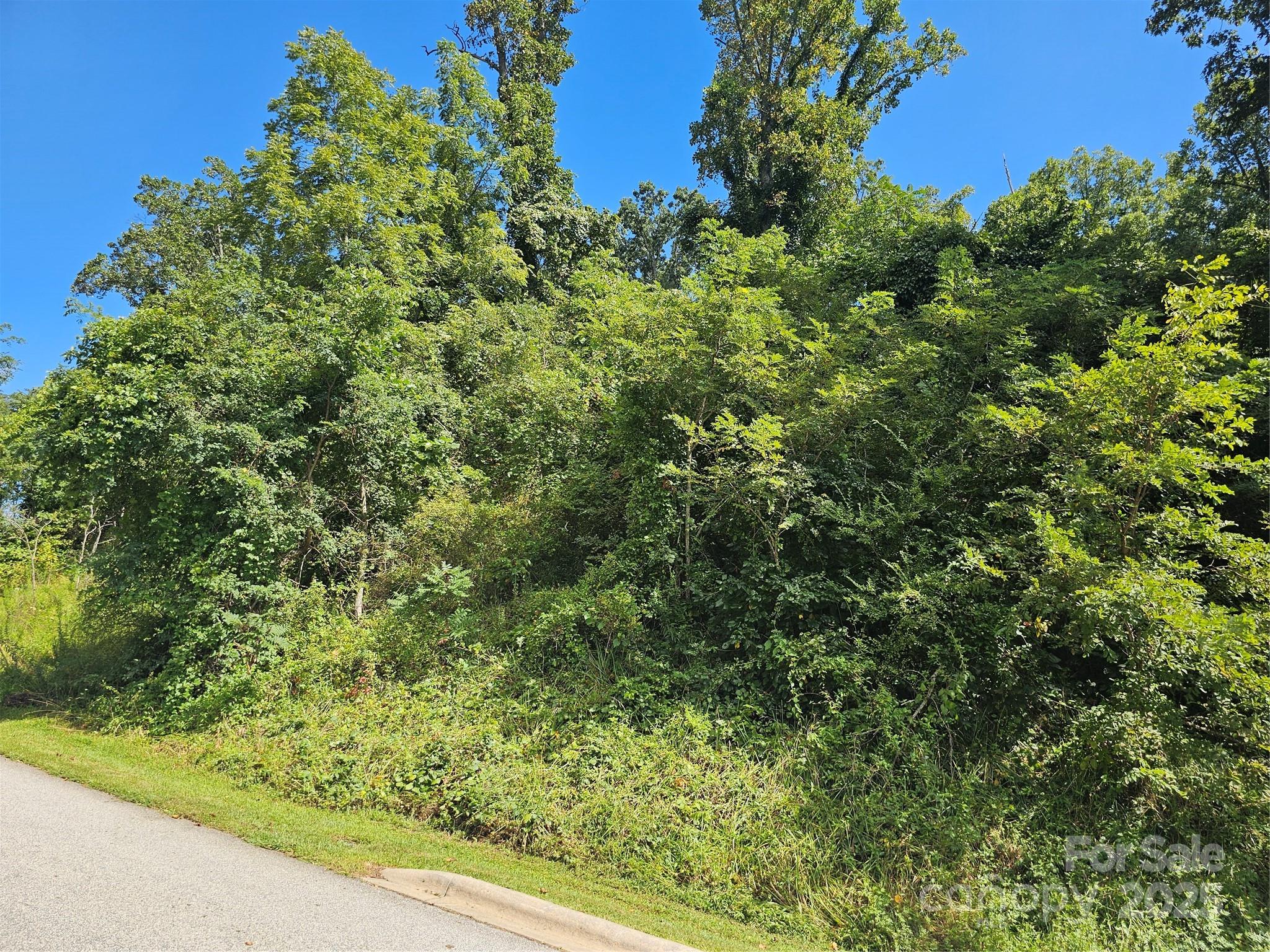 Crest Mountain - Land