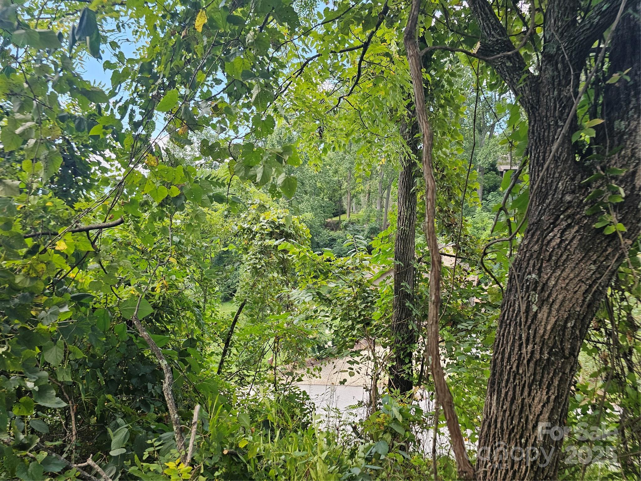 Crest Mountain - Land