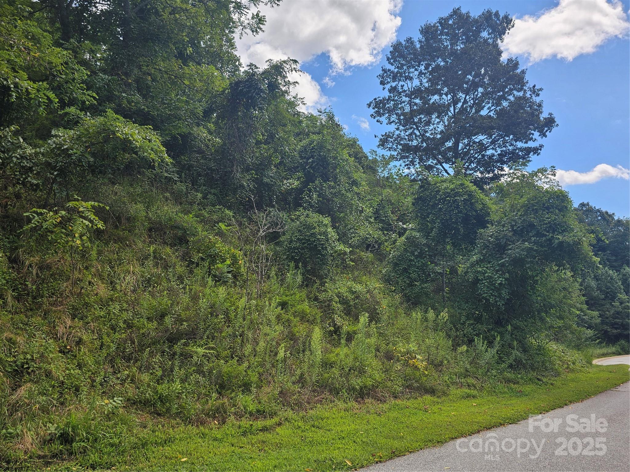 Crest Mountain - Land