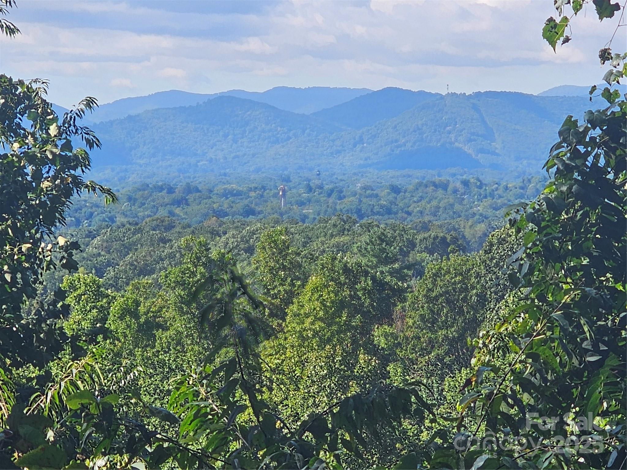 Crest Mountain - Land