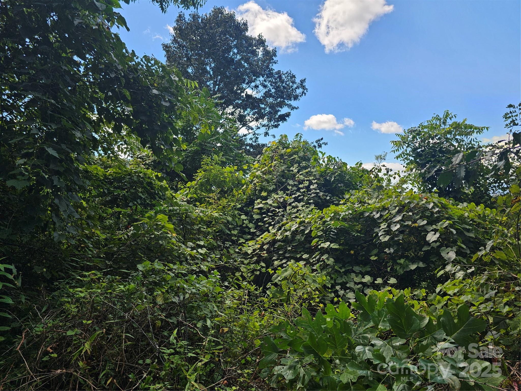 Crest Mountain - Land