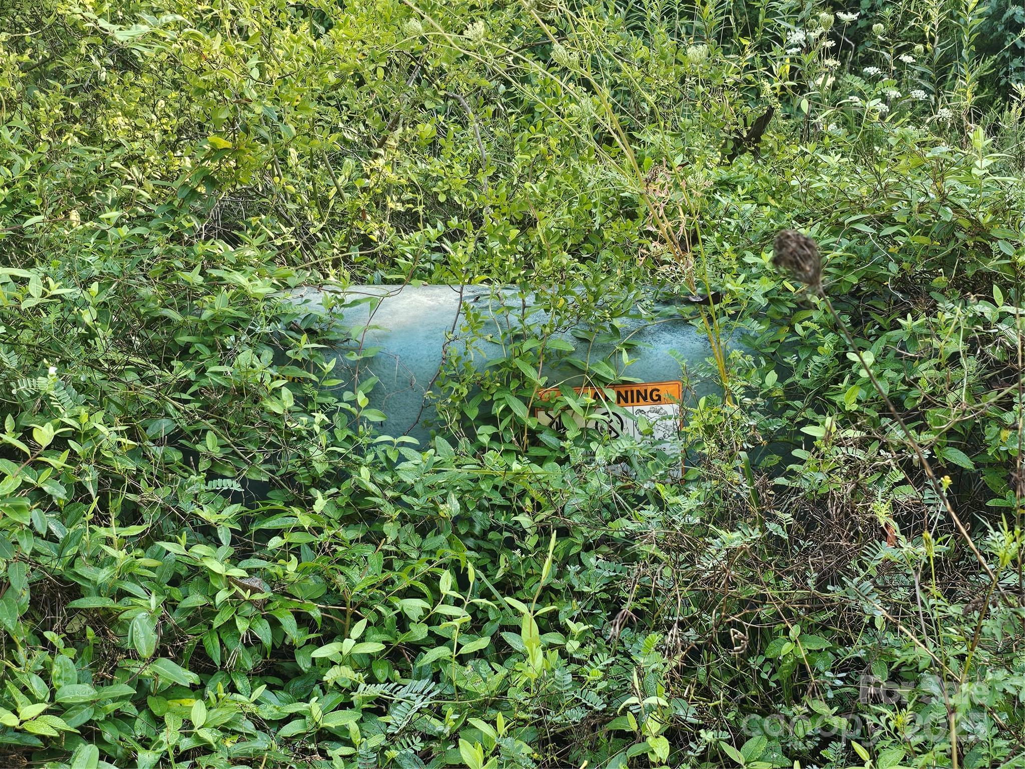 Crest Mountain - Land