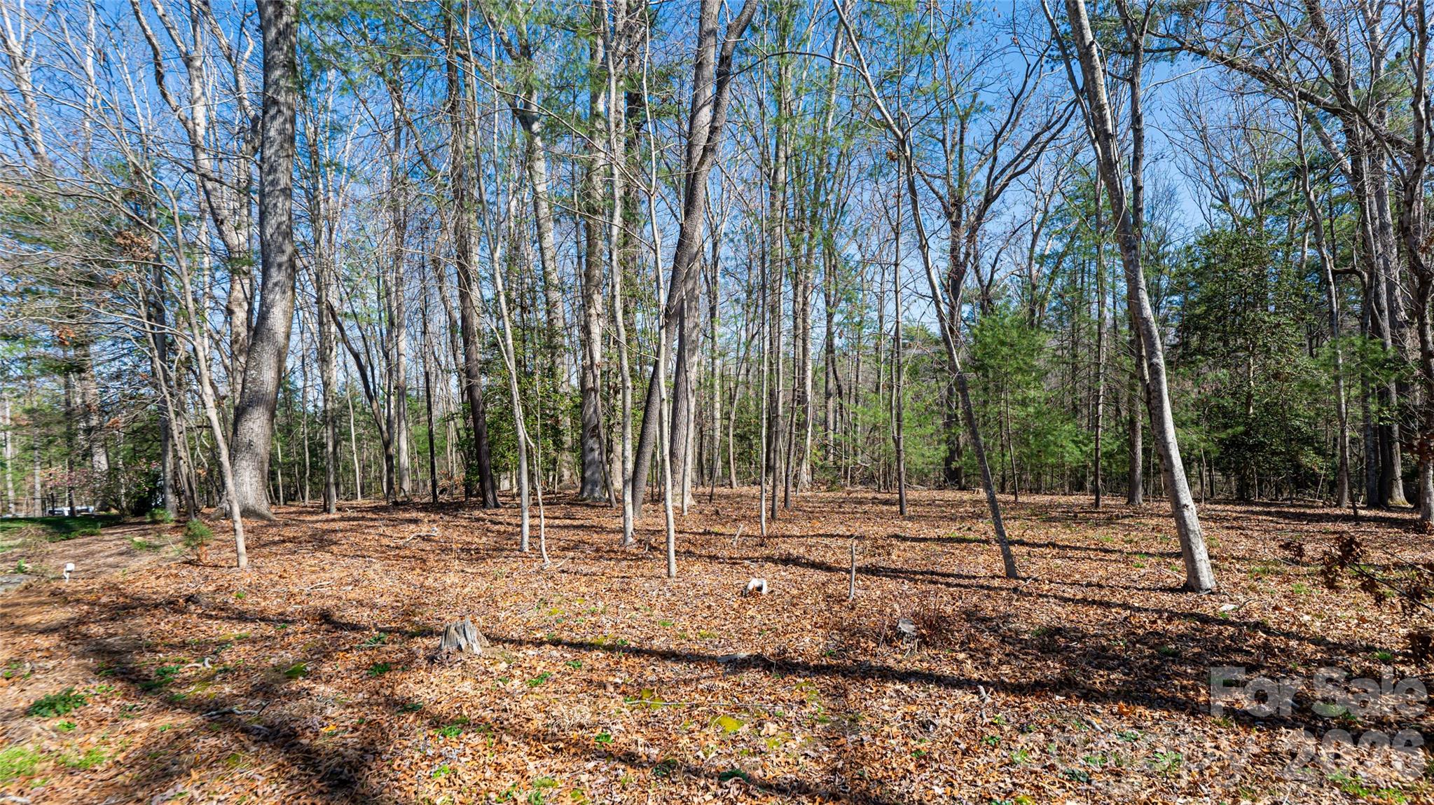 Biltmore Forest - Residential