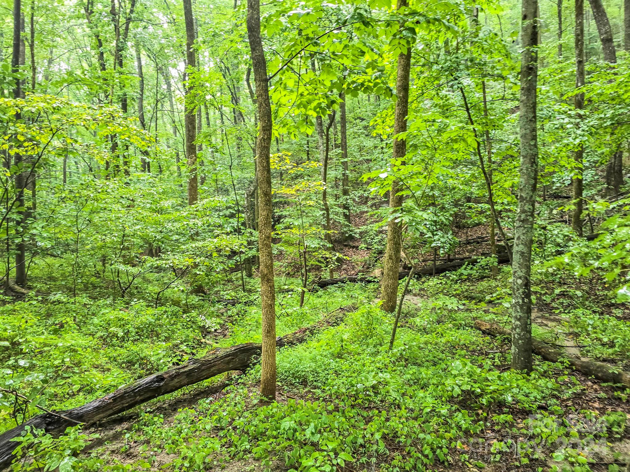 Pinnacle Ridge - Land