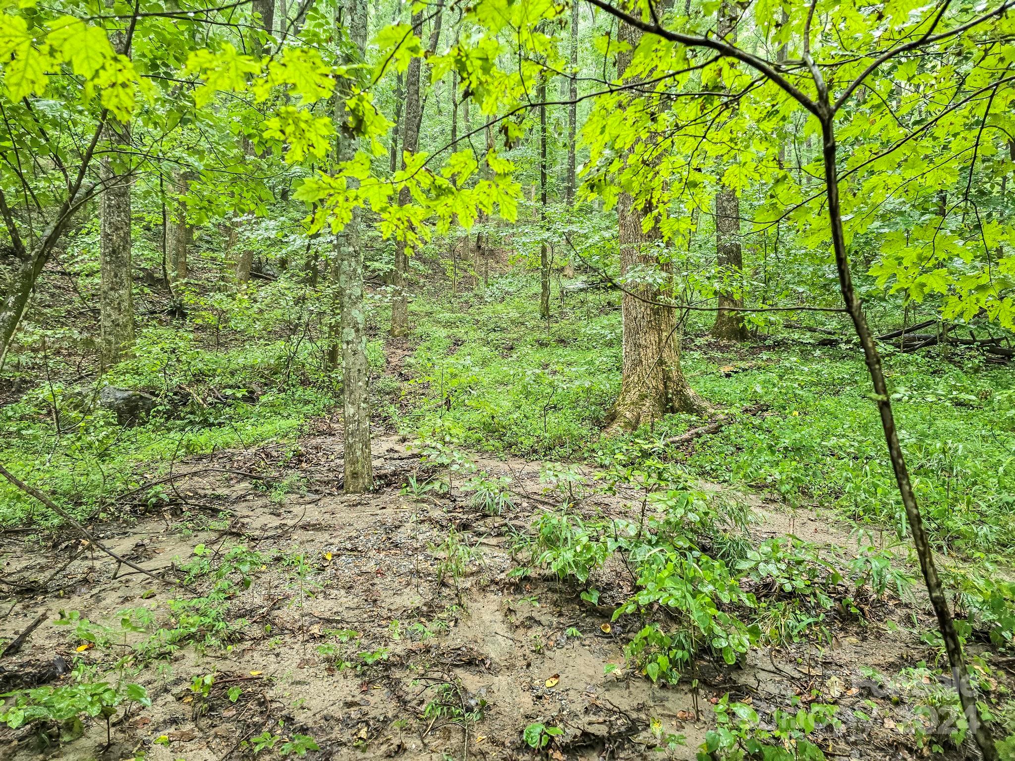 22-B Pinnacle Parkway