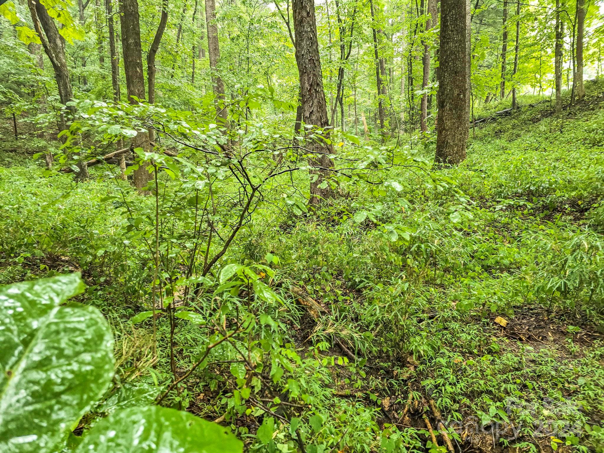 Pinnacle Ridge - Land