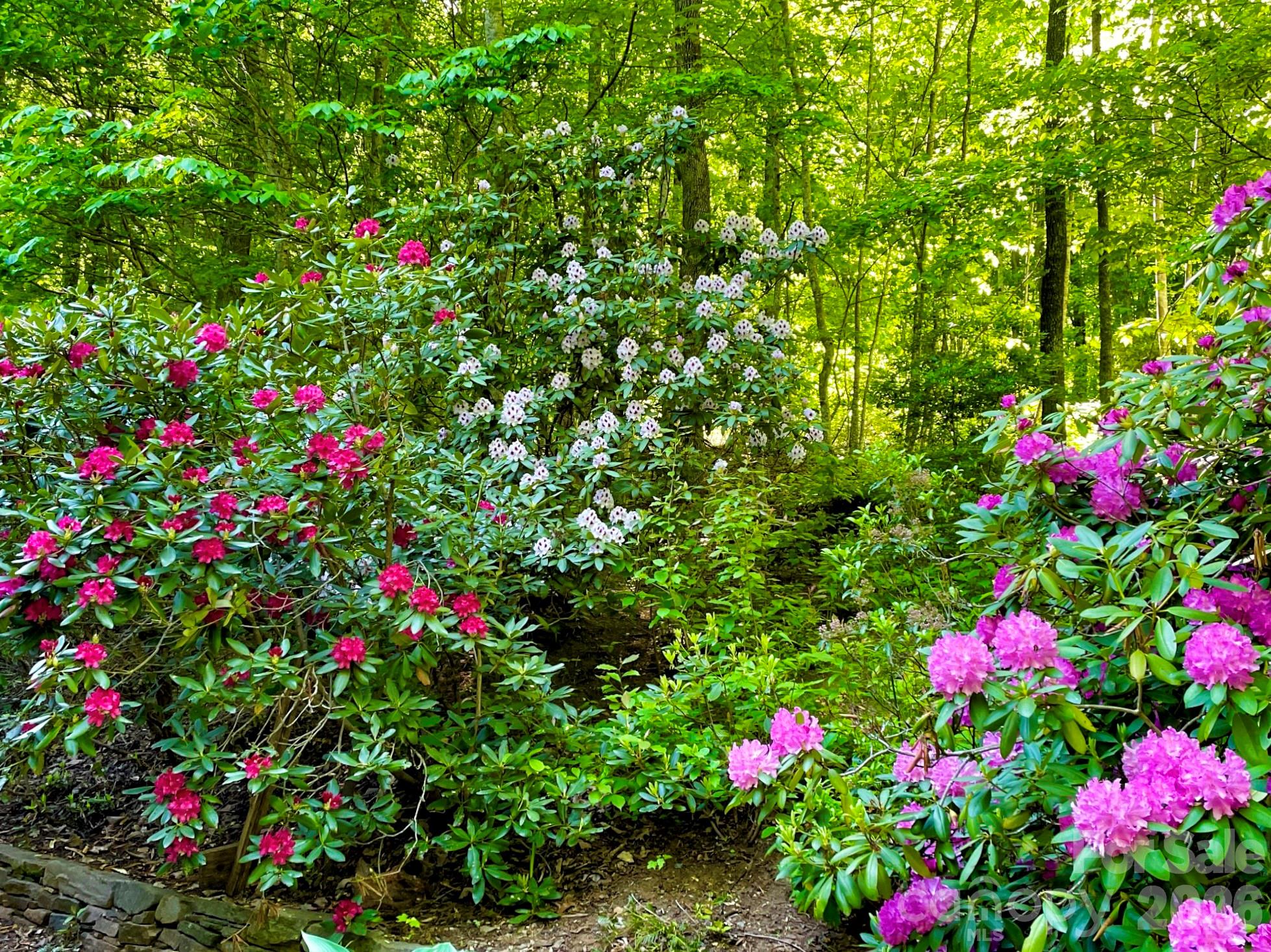 Davis Creek Estates - Residential