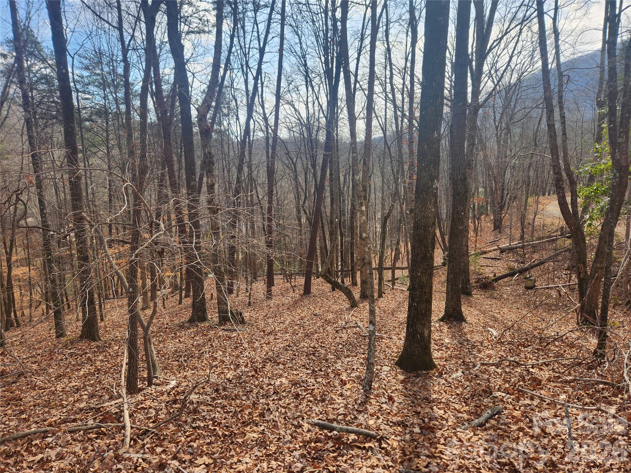 Lot 83 Walnut Lane