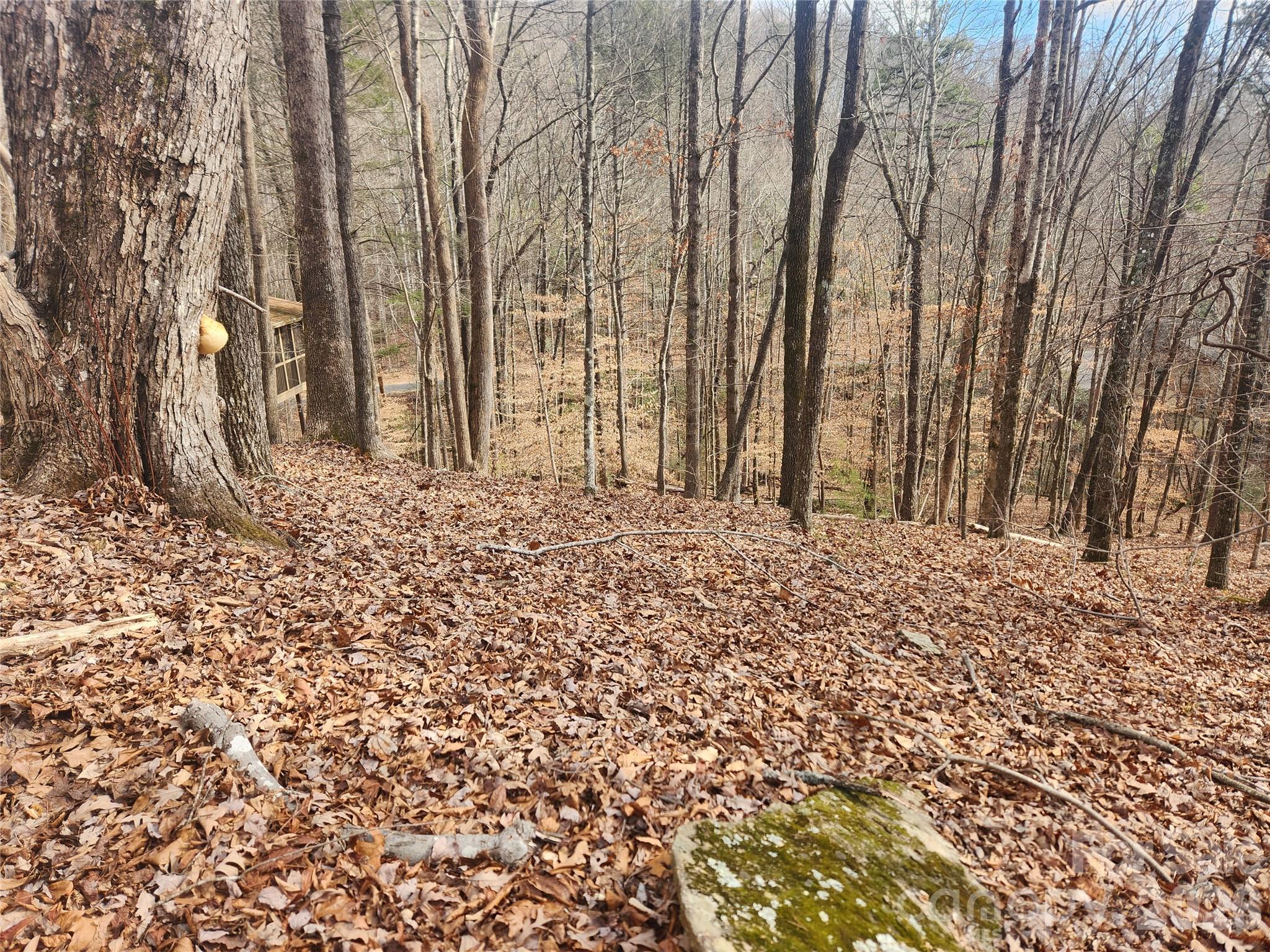 Lot 83 Walnut Lane