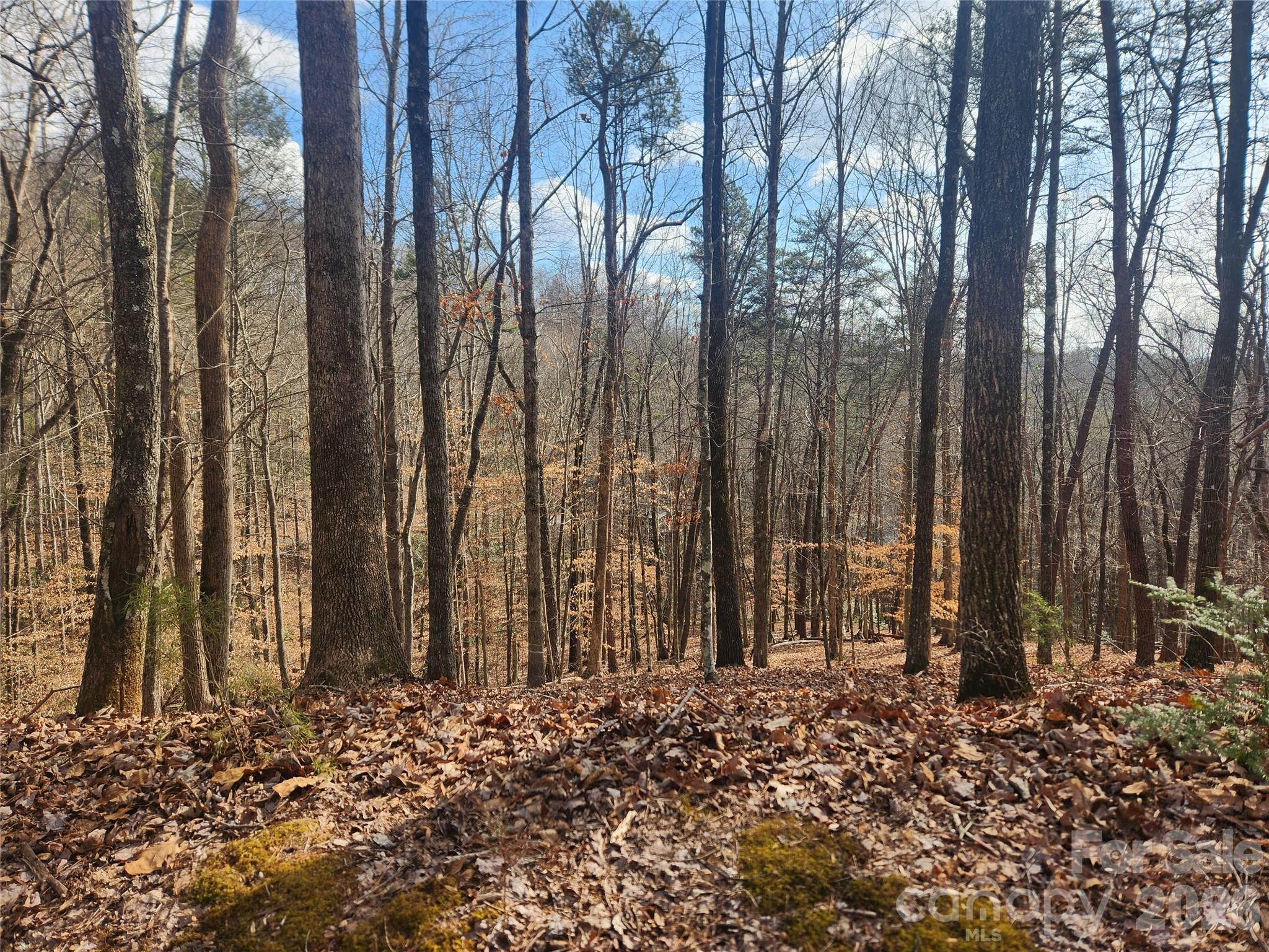 Lot 83 Walnut Lane