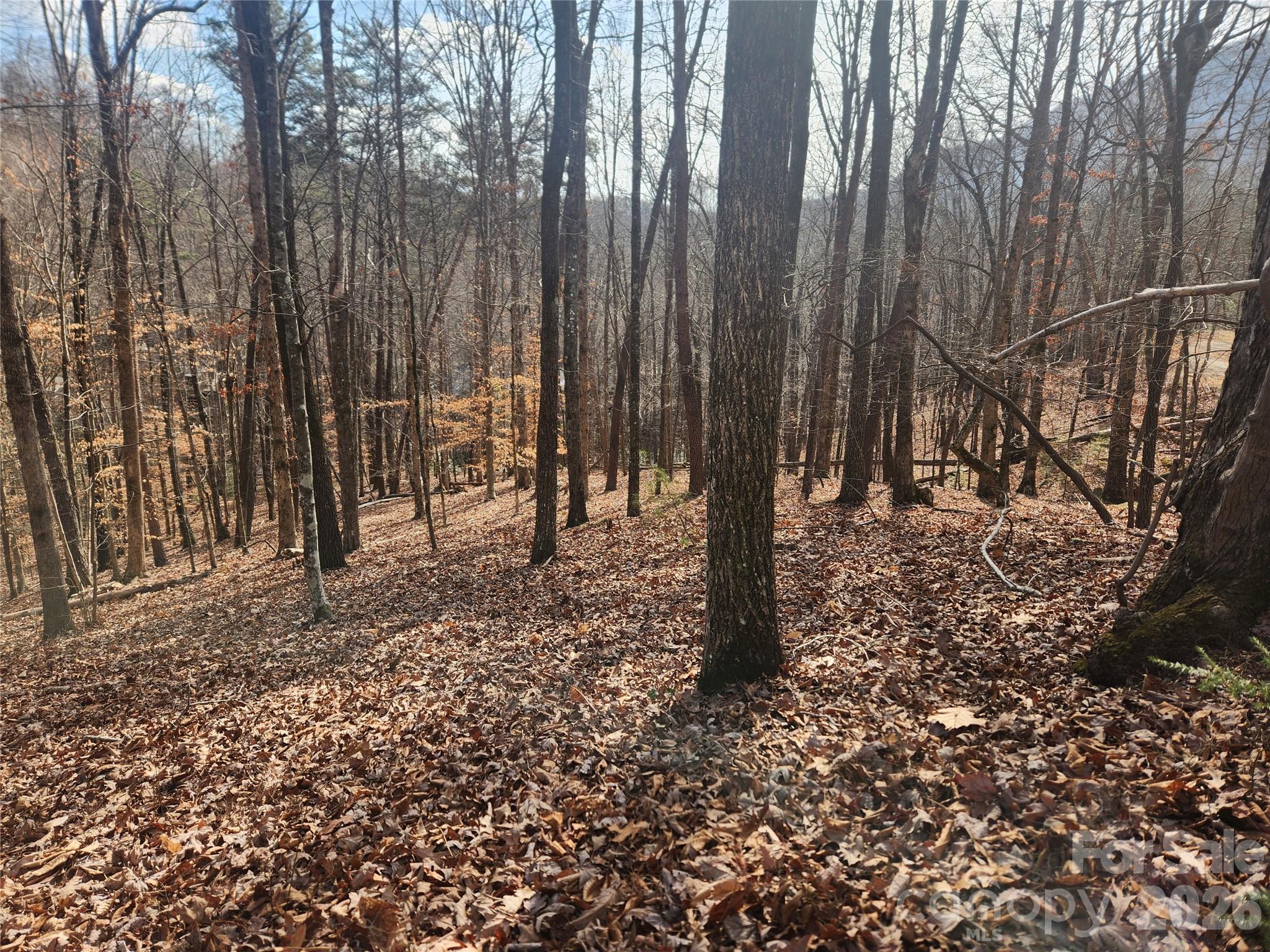 Lot 83 Walnut Lane