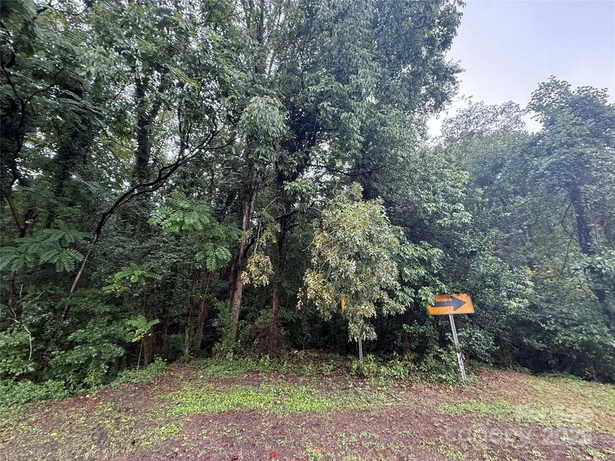 Future development lot.  Close proximity to new river district, airport and downtown Charlotte.