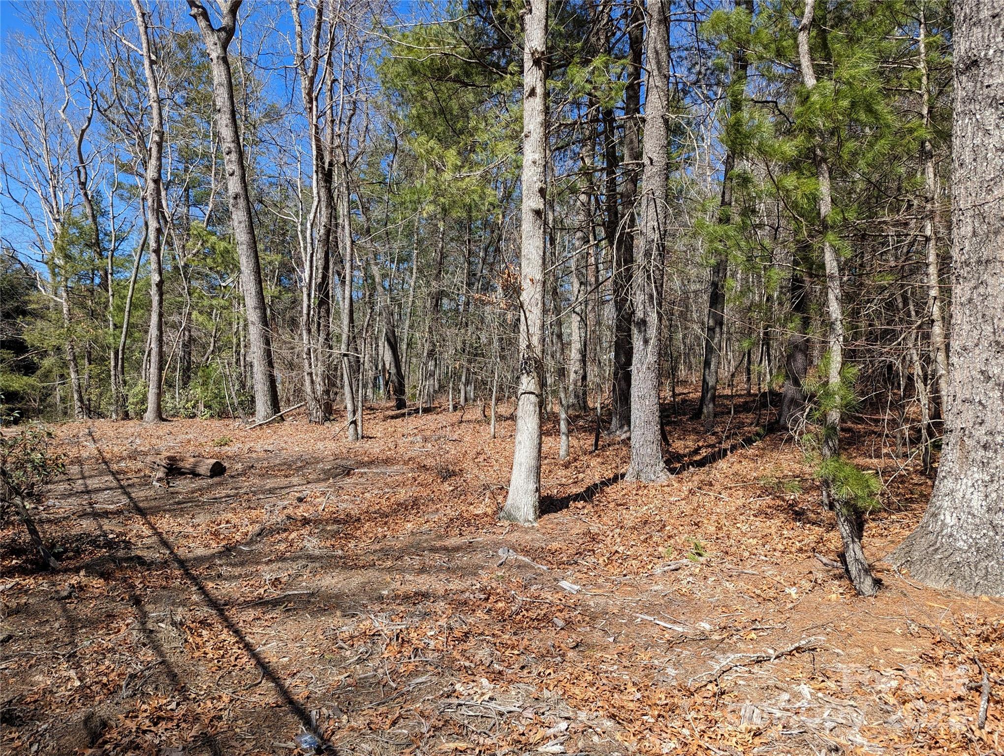 Lot 1 Chinquapin Hill