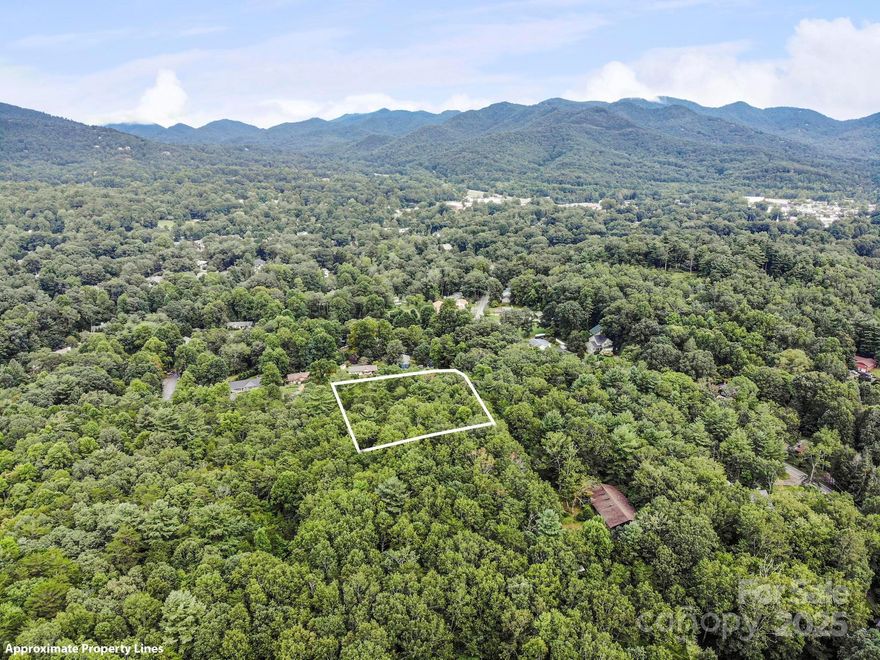 Rare find in Black Mountain - a .71-acre lot that is almost perfectly flat in the town limits! Only 1 mile from downtown Black Mountain, this in-town lot has access to public water/sewer. Covenants are reasonable and focus mainly on road maintenance and quality of construction. Enjoy wooded privacy and winter mountain views from this exceptional building lot, with plenty of room for a guesthouse or detached structure. This land has been in the same family for over 100 years and has never been on the market before! Recently, 3 lots were subdivided out of a larger tract and annexed into the Town of Black Mountain. Lot 3 has sold. Lots 1 and 2 are available.