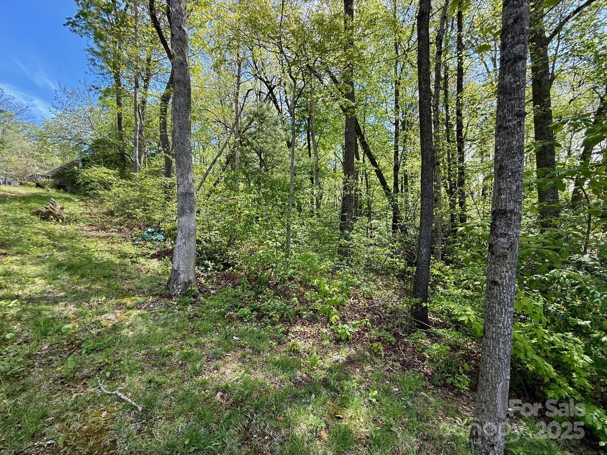 TBD Knox Road