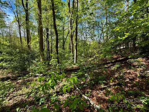 TBD Knox Road Black Mountain NC 28711