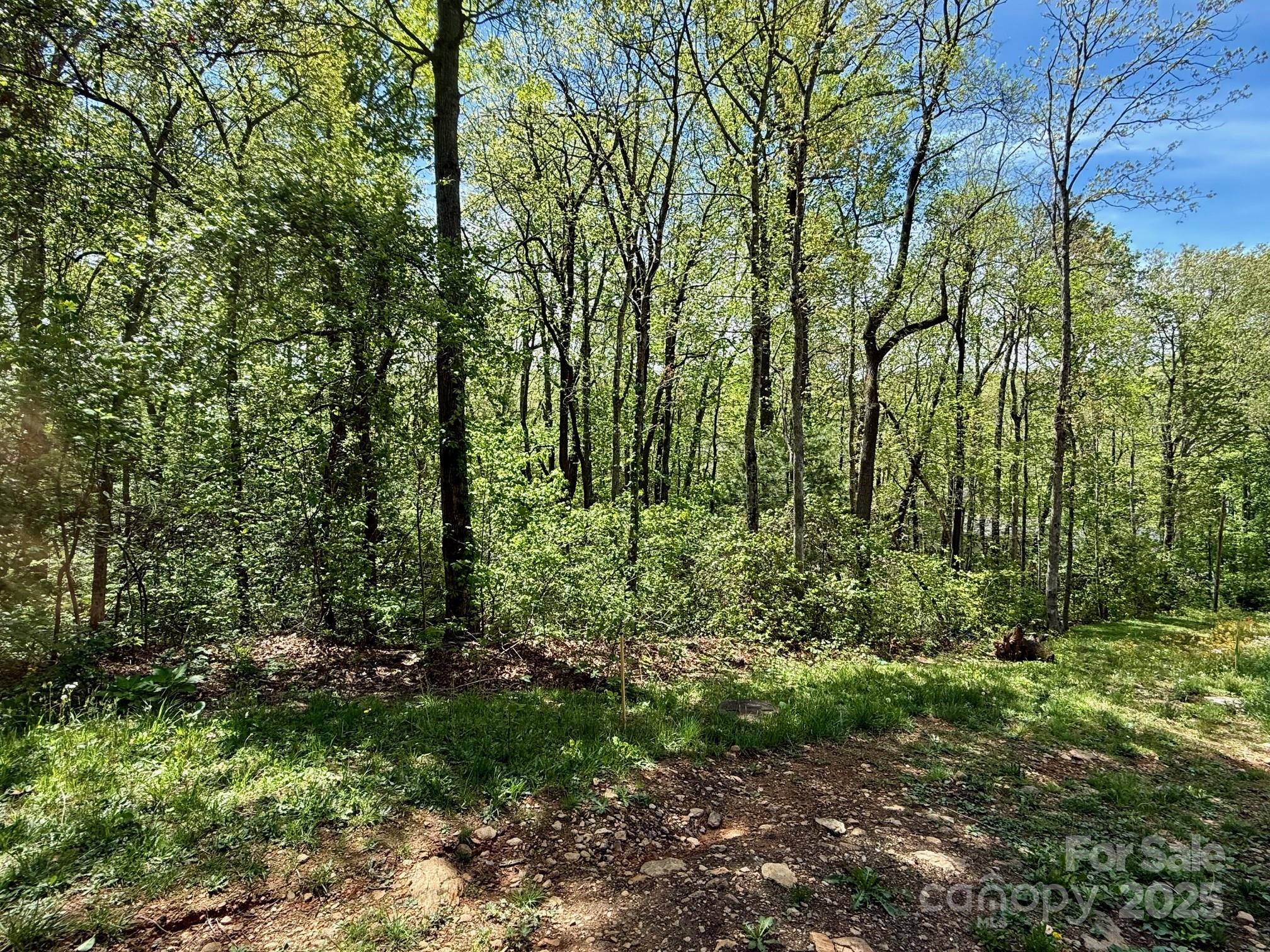 TBD Knox Road