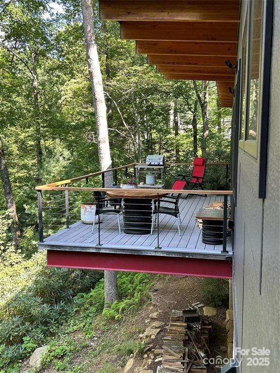 448 Mt. Mitchell Drive