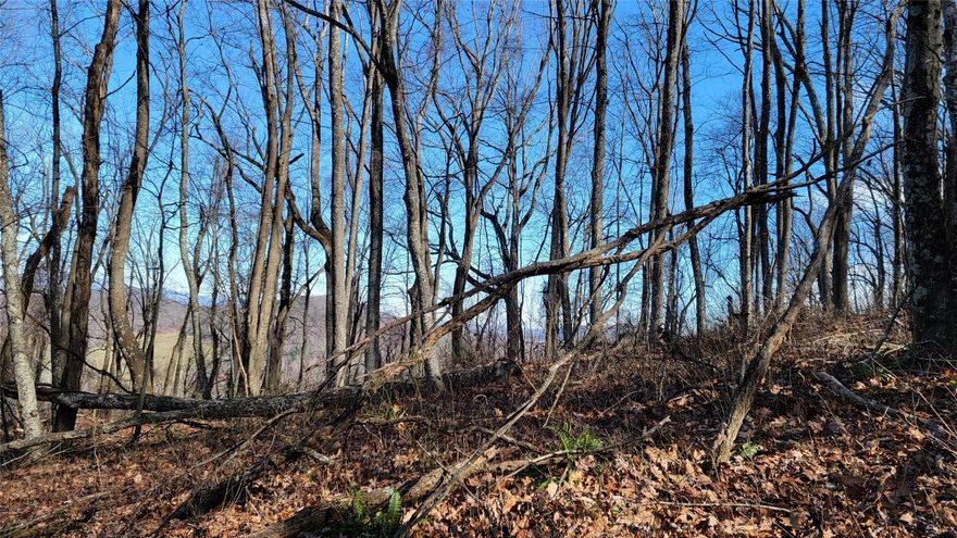 Looking for Peace & Quiet? You Can Have it for $16K!! 3 Parcels (2.24 acres) Being Sold Together in Shepherds Glen Laurel Springs. Wooded, Rolling Lots May Offer Great Mountain Views with Clearing. Tucked Away at Back of Community. No Other Homes Constructed in This Portion of the Community to Date. Limited Restrictions (copy available). No HOA/POA. Build When Ready. Power, Septic and Well Needed. Road to Property Not Complete but Accessible via 4x4 or All Wheel Drive. No Campers Allowed. Hunting Allowed by Property Owners Per Main Gate Sign.