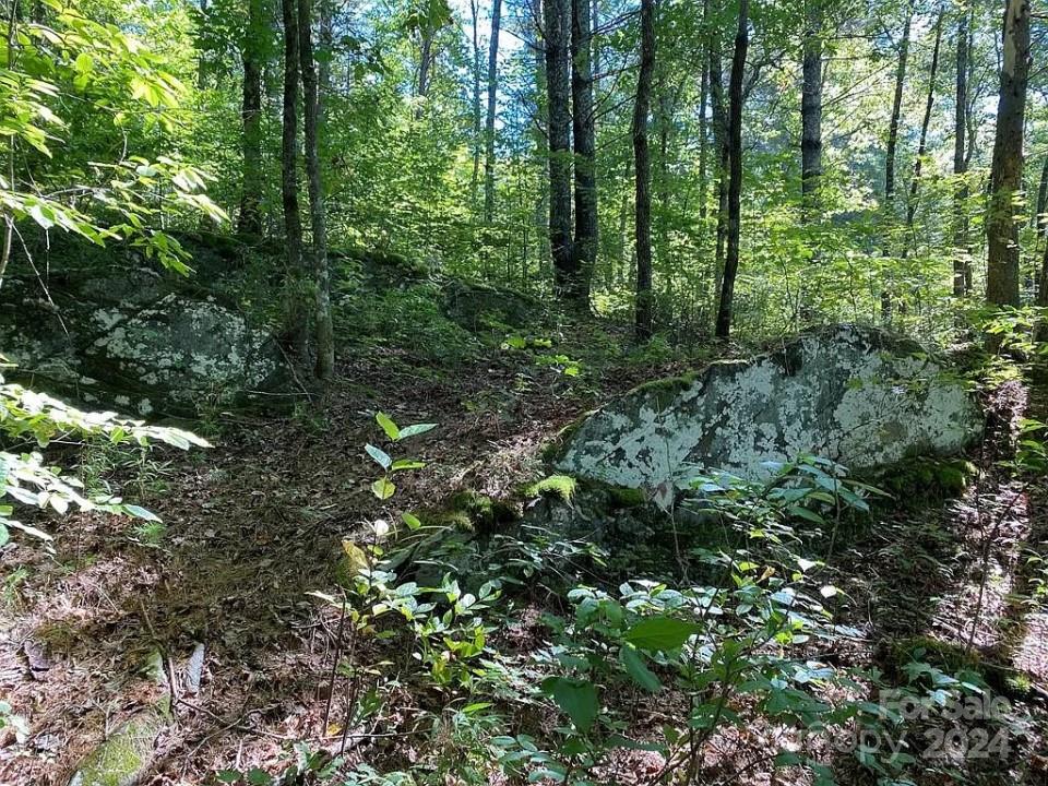 Trillium Heights - Land