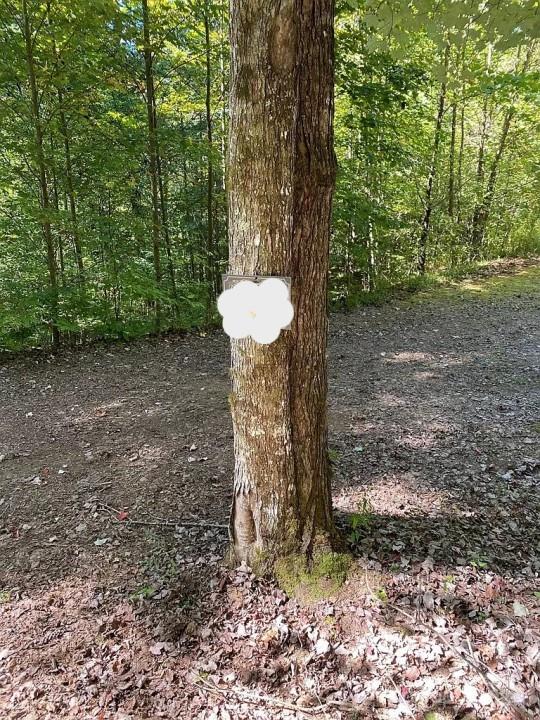 0 Trillium Heights Terrace 38