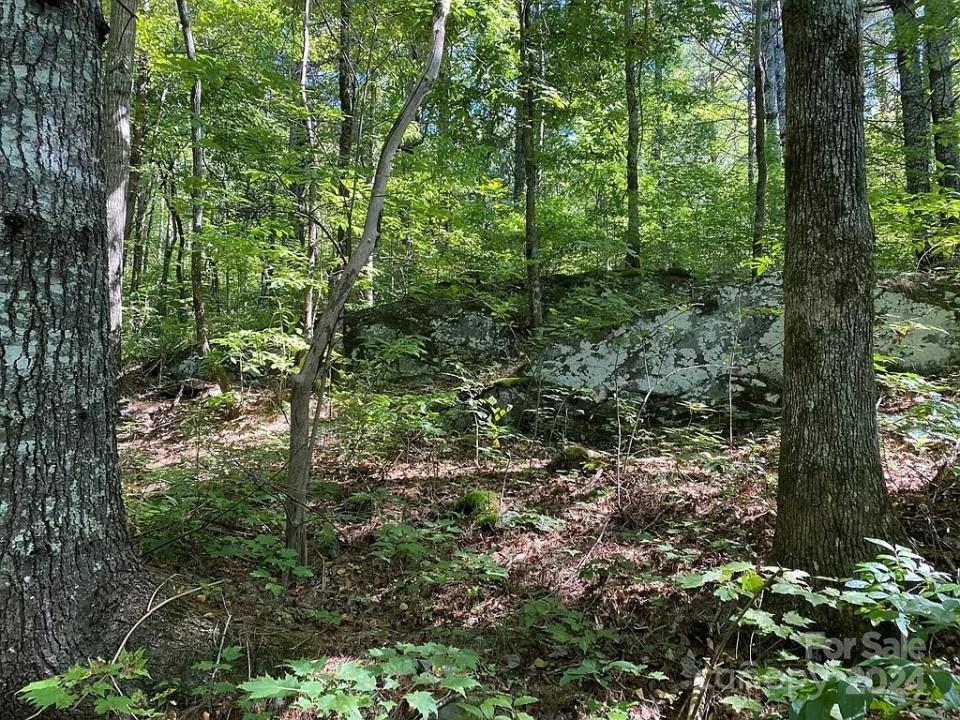 Trillium Heights - Land