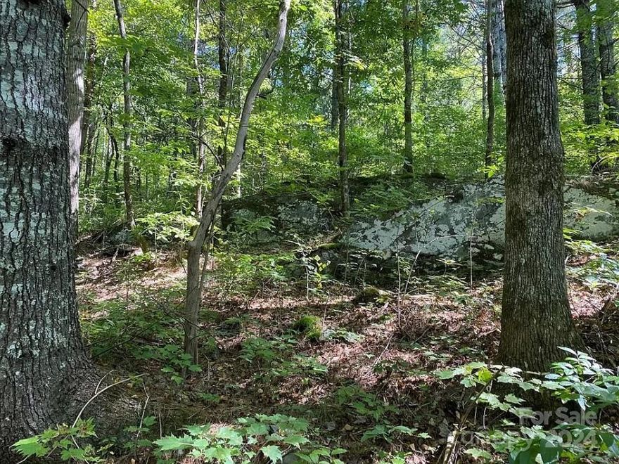 Gorgeous lot in exclusive Trillium Heights Gated Community! 1.54 acres of gently rolling land, conveniently located between Hayesville and Murphy. House pad cleared and leveled, plenty of mature hardwood trees and moss covered boulders on this tract. Put your kayak in the community river launch and paddle down to the breathtaking Mission Dam lake! Enjoy the exclusive community pavilion equipped with river rock fireplace and grill station. Don't miss out! This is a great property!