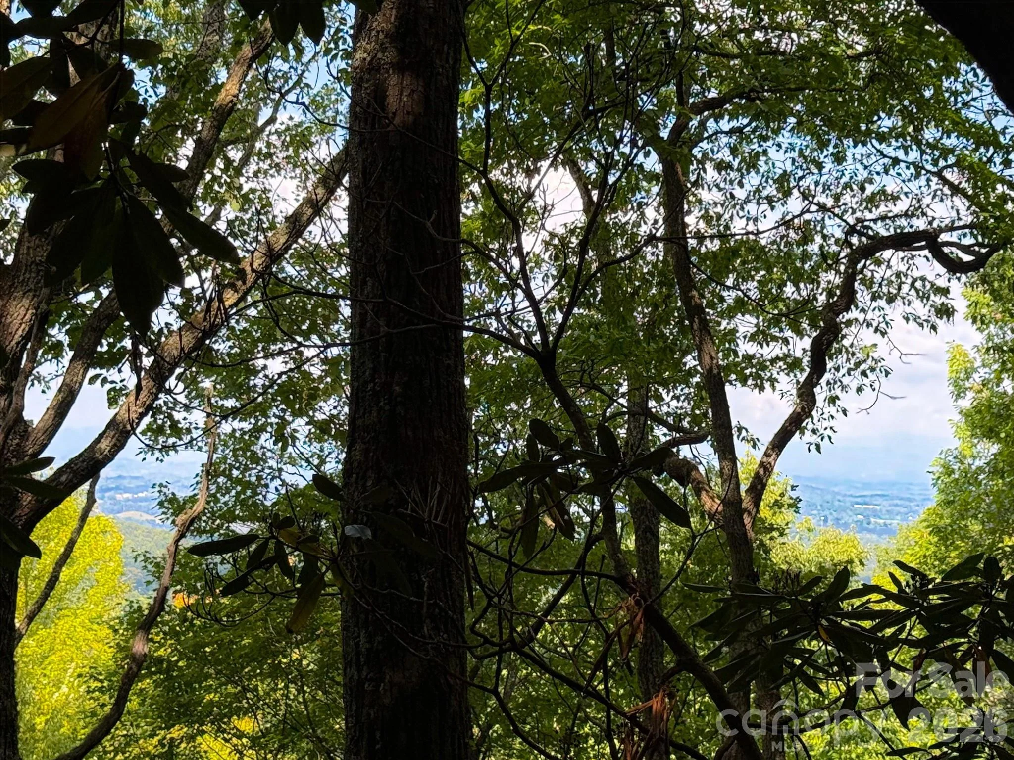 99999 High Top Mountain Road Unit Lot 3, Leicester, NC, 28748