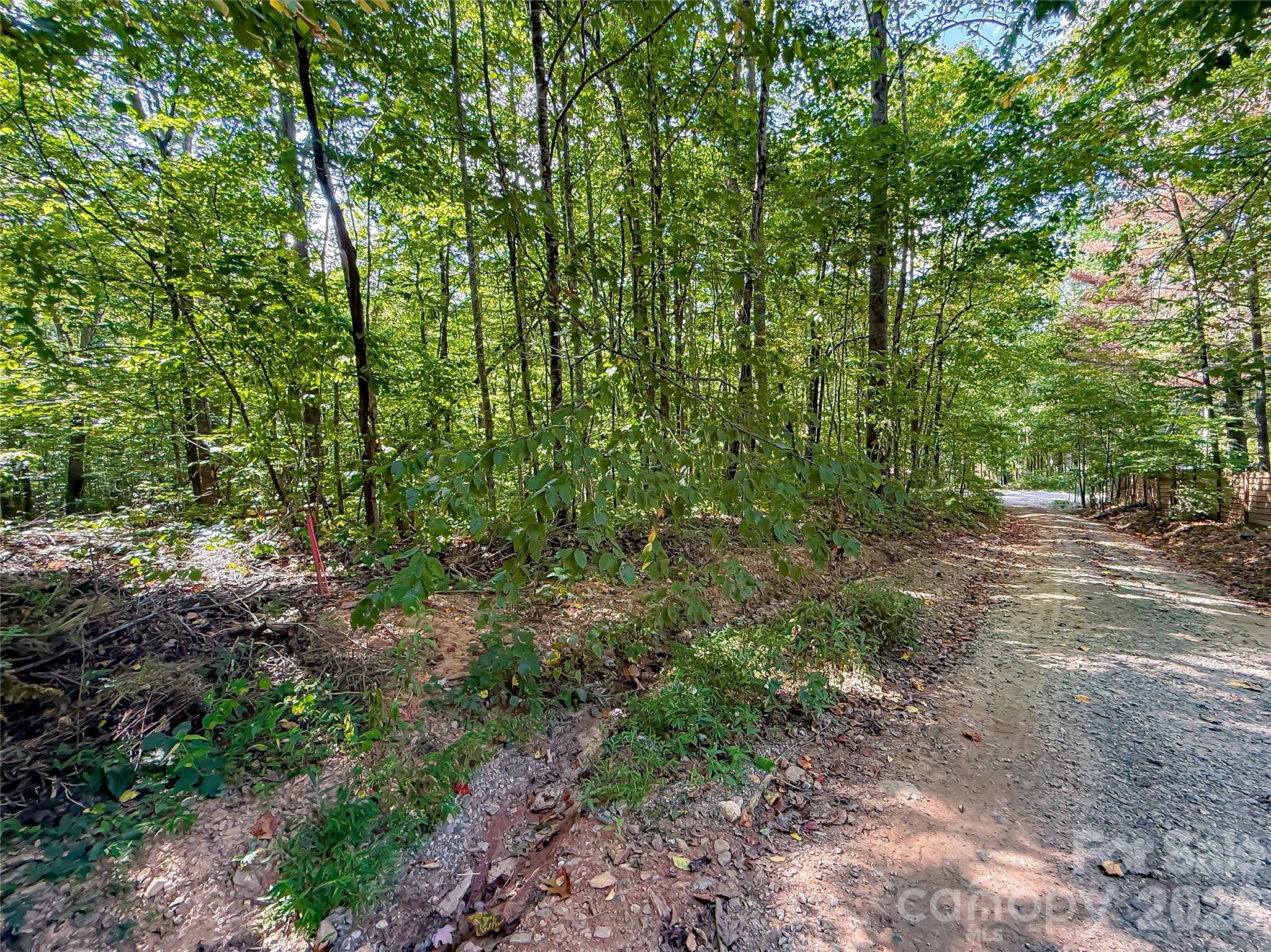 99999 High Top Mountain Road Lot 3