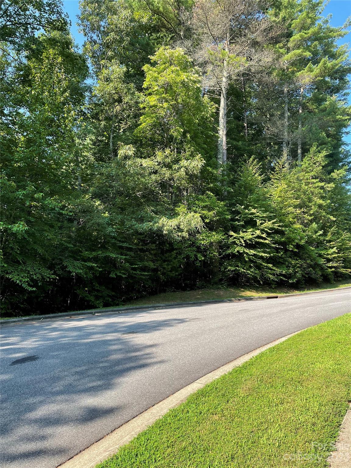 V48&49 Camptown Road V48&49