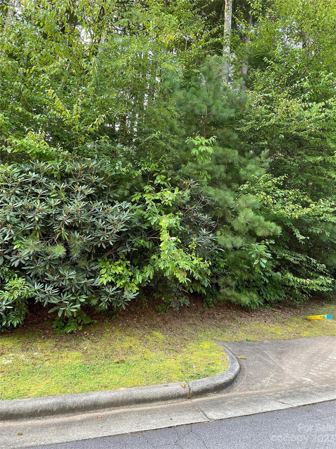 V48&49 Camptown Road V48&49