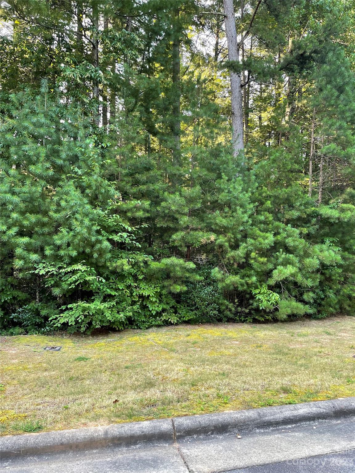 V48&49 Camptown Road V48&49