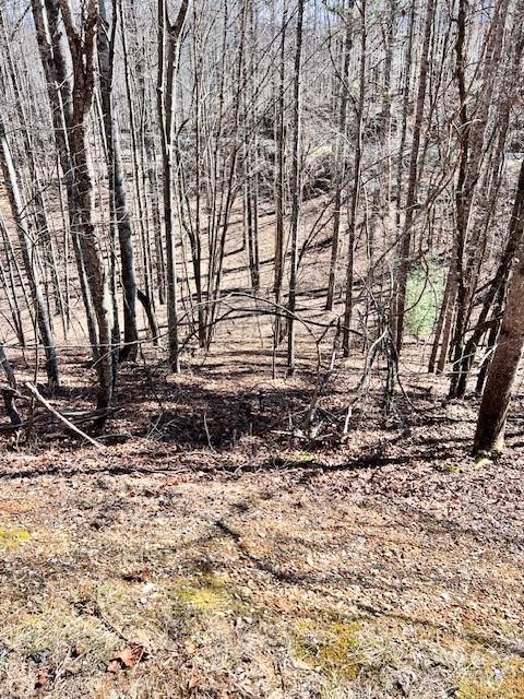 Fontana Lake Estates - Land