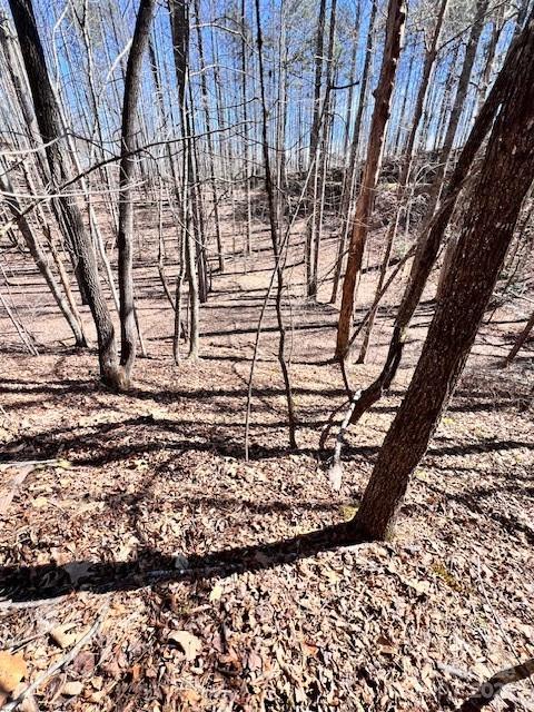 Fontana Lake Estates - Land