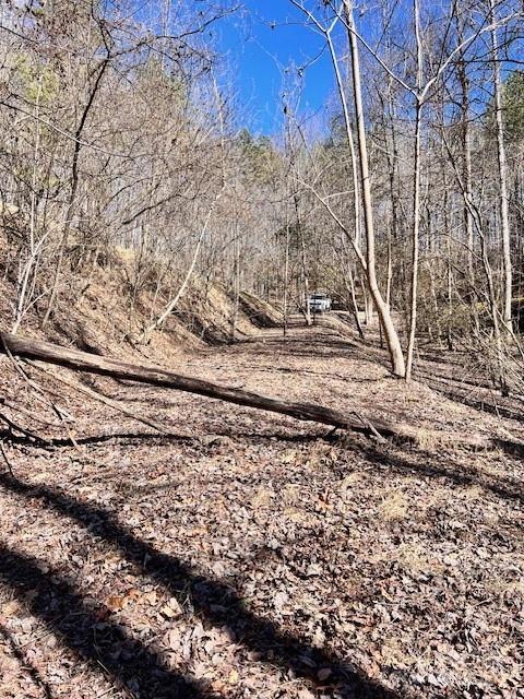 Fontana Lake Estates - Land