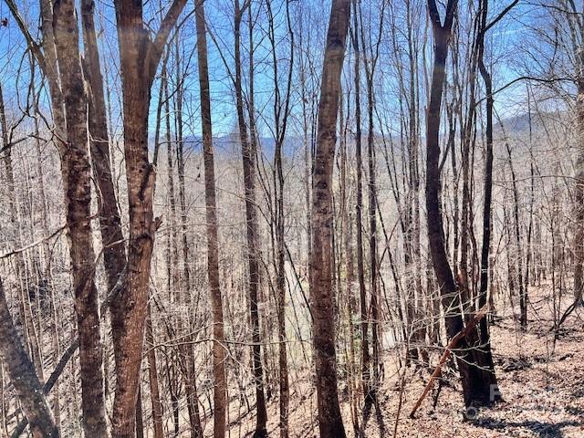 Fontana Lake Estates - Land