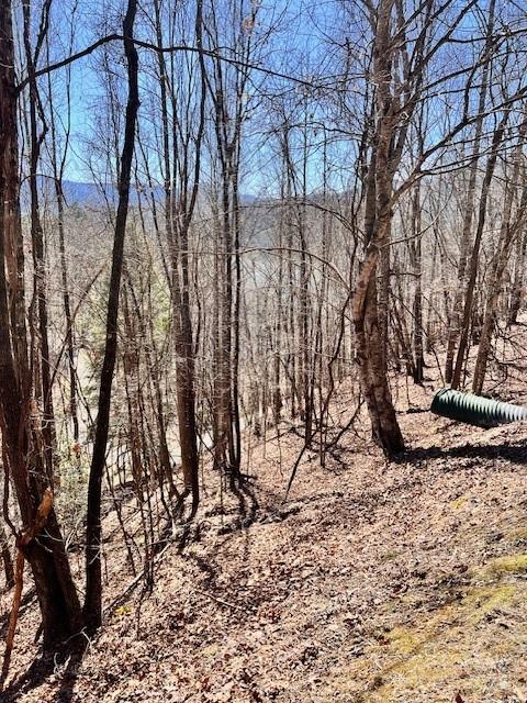 Fontana Lake Estates - Land