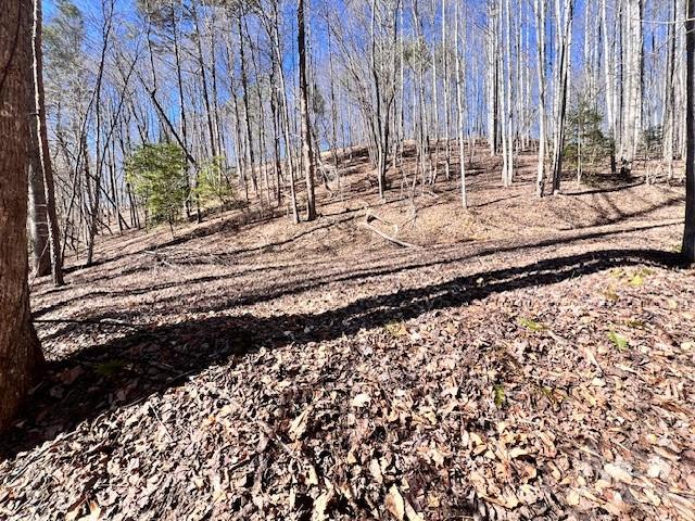 Fontana Lake Estates - Land