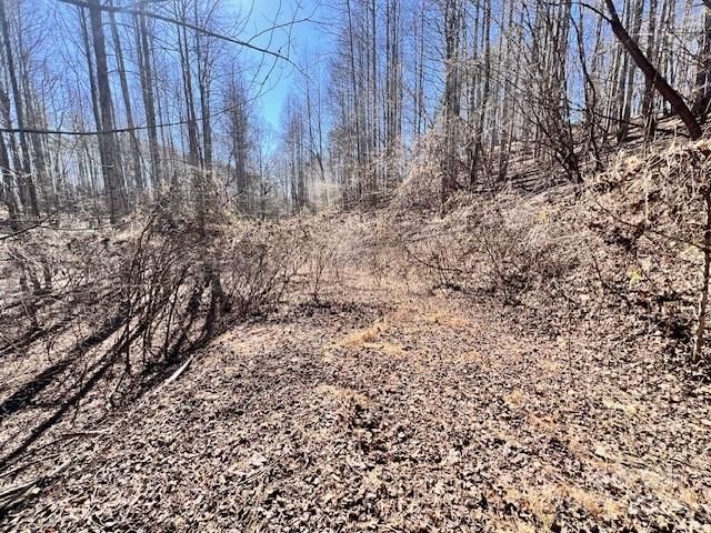 Fontana Lake Estates - Land