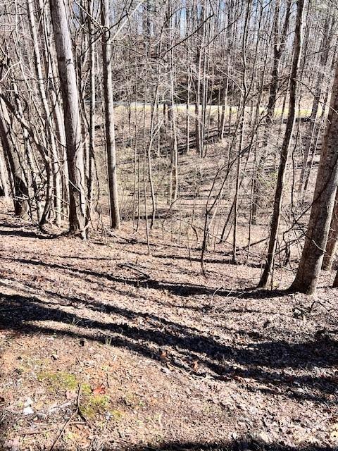 Fontana Lake Estates - Land